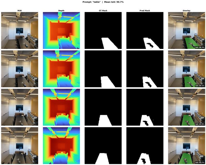 Segmentation results on SPIn-NeRF